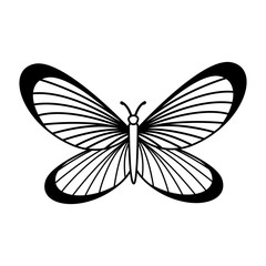 cute butterfly isolated icon vector illustration design
