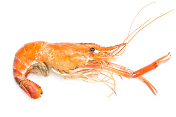 Grilled giant freshwater prawn isolated on white