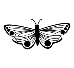 cute butterfly isolated icon vector illustration design