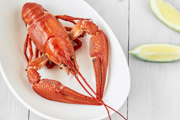 Fine crustacean for dinner. Boiled lobster with lemon on a white plate. horizontal. top view