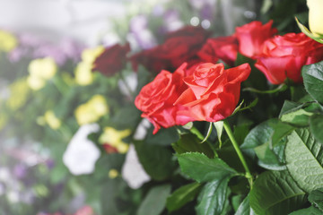 Fresh roses at floral shop, closeup