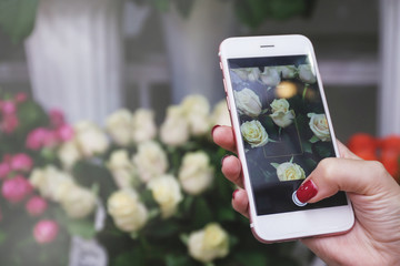 Female hand taking photo of beautiful flowers with smart phone at floral shop