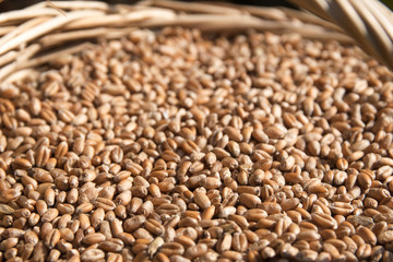 view into a basket full of wheat grains, harvest background texture, selective focus