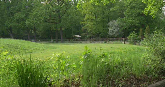 Flower Beds Herbs Green Fresh Lawn Trees in Park Summer Landscape Serene Place Recreation Outdoors Excursion to the Beautiful Place no People Just Nature