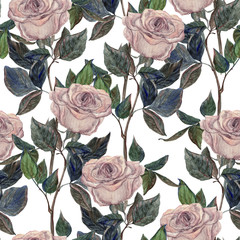 Watercolor Seamless pattern with Beautiful rose flowers on white background , Watercolor painting
