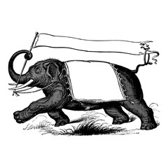 Fototapeta premium Elephant carrying a banner, vintage engraving