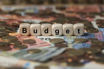 budget - Holzwürfel mit Buchstaben im Hintergrund mit Geld, Geldscheine