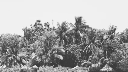  Black and white landscape background © Africa Studio