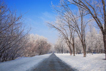 road in empty park with blue sky in winter