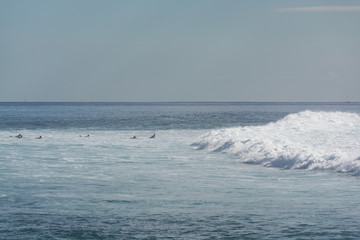Naklejka premium The coast of Atlantic ocean, ocean waves, winter on Tenerife, Canary