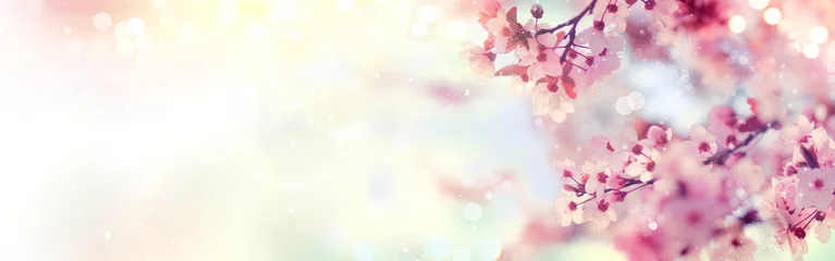 Abwaschbare Fototapete Frühling Frühlingsgrenze oder Hintergrundkunst mit rosa Blüte. Schöne Naturszene mit blühendem Baum und Sonneneruption