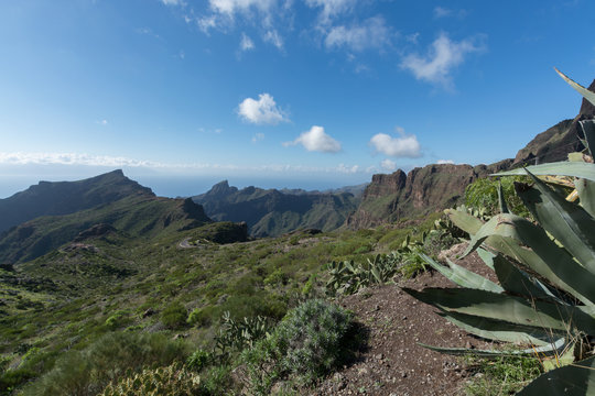 Nature near Masca Village, Tenerife