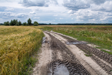 sandy road in the summer, early in the morning,