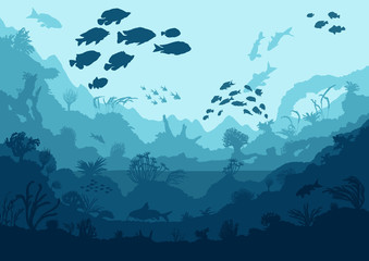coral reef and sea creatures