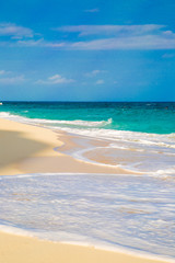 Carribbean sea shore