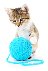 Cat with ball of yarn