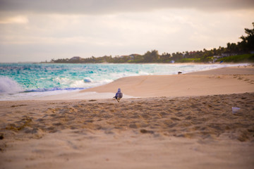 Fototapeta na wymiar Carribean beach with blue sea horison line and sandy shore
