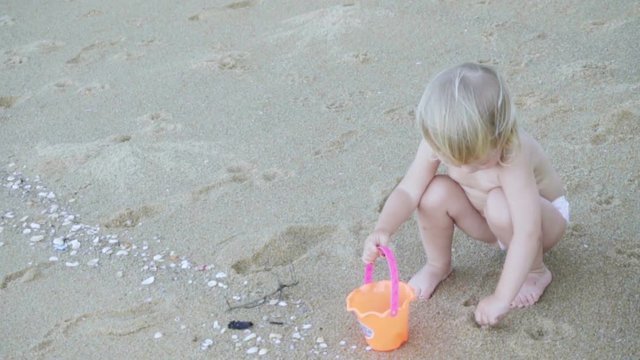 Girl collects shells on sandy beach