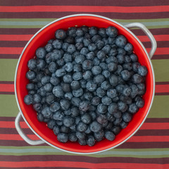colander with blueberries on stripy kitchen towel