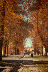 Autumn in city park