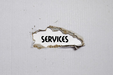The word services appearing behind torn paper