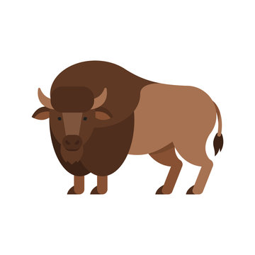 Vector flat style illustration of aurochs.