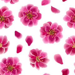 Sakura seamless pattern.
