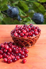 Basket with cranberries on a wooden background