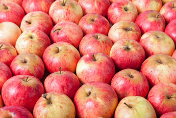 Rows of red apples on a wooden surface. Top View