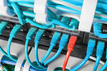 Server rack with blue and red internet patch cord cables