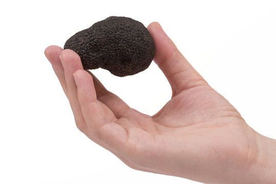 Truffle on young woman hand (isolated on white) 