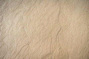 A whole page of ripples in wet sand background texture after tide.