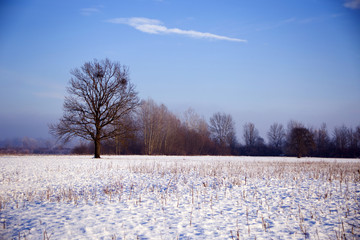 Winter in Turopolje, Croatia