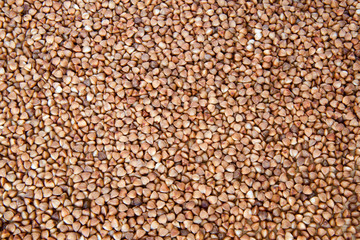 buckwheat