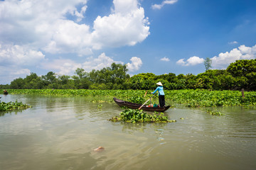 Tourism rowing boat in Tra Su flooded indigo plant forest in An Giang, Mekong delta, Vietnam.