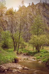 Fototapeta na wymiar Mountain stream in Pieniny