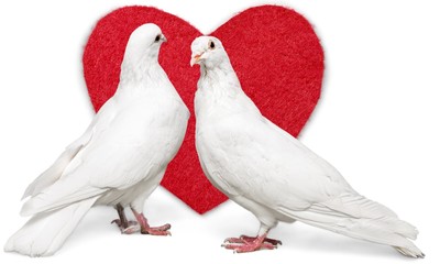 Love.