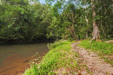 Fototapeta premium Takhong river in Khao Yai National Park