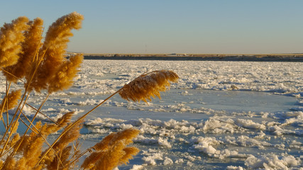 Fototapeta na wymiar Syrdarya River in December, Baikonur, Kazakhstan