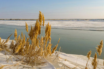 Syrdarya River in January, Baikonur, Kazakhstan