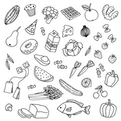Variety of hand drawn doodle food items - 133689304