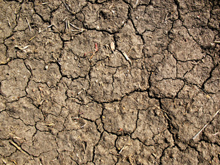 Cracking Mud