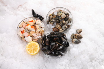 Fresh seafood shells on ice