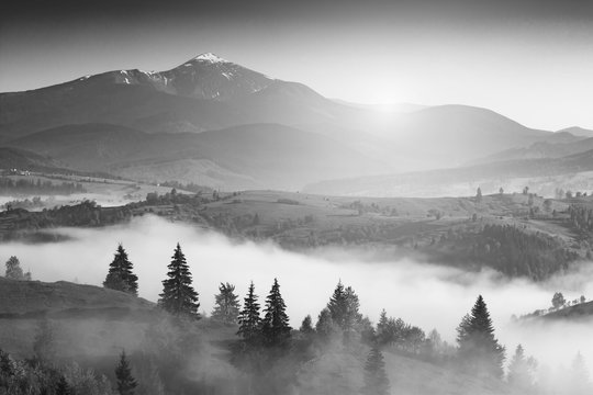 Fototapeta Carpathian light. Black and white