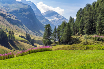 Wanderurlaub im Engadin in der Schweiz