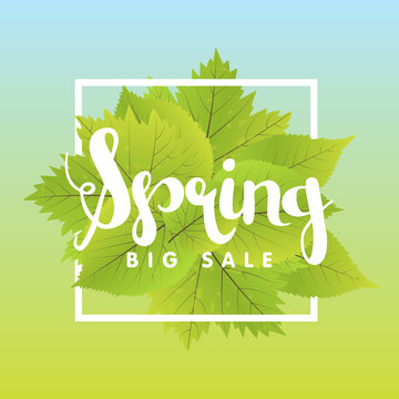 Spring Sale Poster With Green Leaf. Vector banner Template Illustration