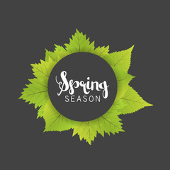 Spring season letter and green leaves vector illustration. Black gray background