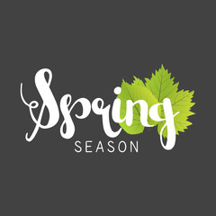 Spring season letter and green leaves vector illustration