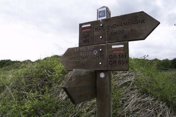 pilgrim to rome : via francigena