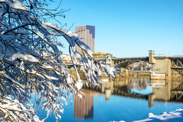 Snowy Branches and Downtown Portlad